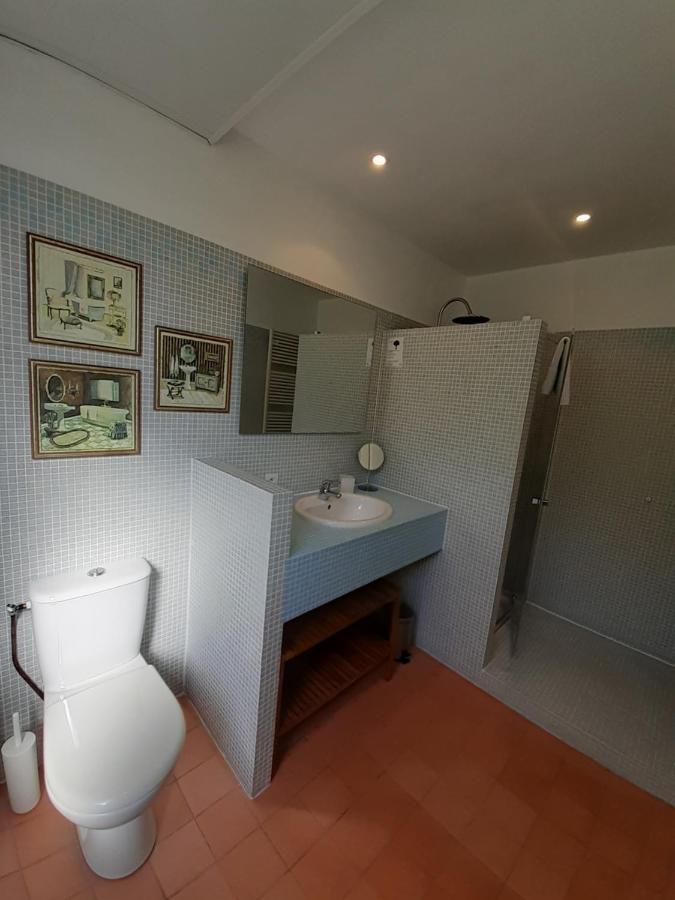Les Mazeraies Maison D'Hotes Avec Spa Savonnieres Экстерьер фото
